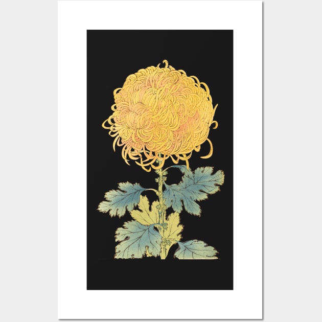 Gold Chrysanthemum - Hasegawa - Traditional Japanese style - Botanical Illustration Wall Art by chimakingthings